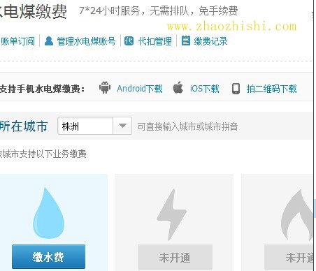 株洲网上交水费、电费可行吗