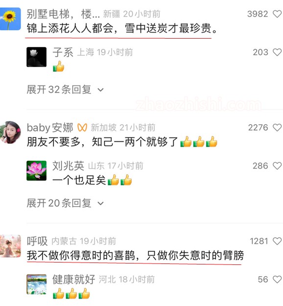 不做你得意时的喜鹊，只做你失意时的臂膀。