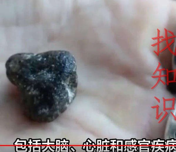 龙涎香是什么东西 是不是抹香鲸的宿便