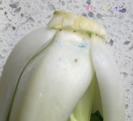 蔬菜上沾有蓝色物质是什么东西