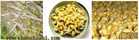 黄豆芽的营养价值