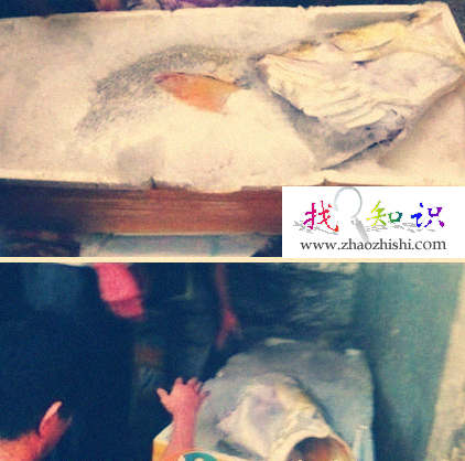 濒临灭绝的金钱鳘