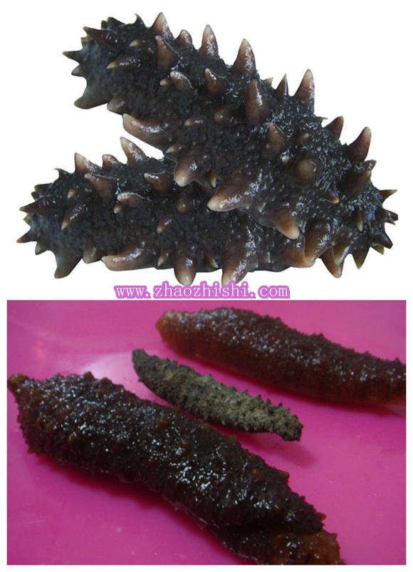 北极参的营养价值或功效