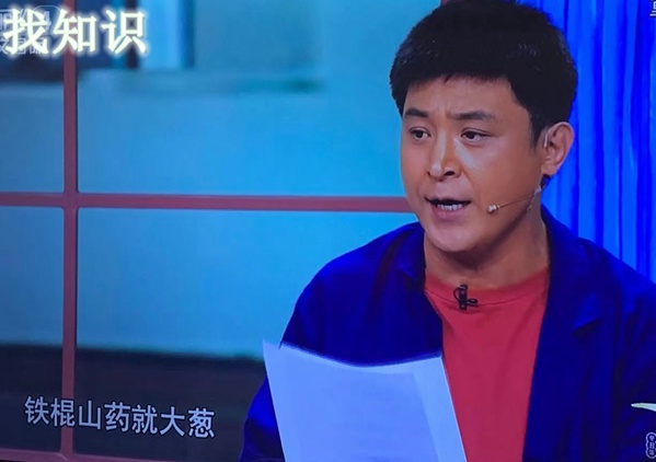 铁棍山药就大葱