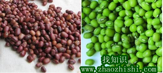 红豆绿豆减肥有没有副作用