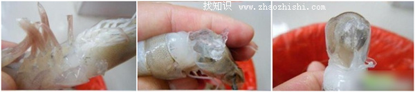 注胶虾怎么辨别得出来
