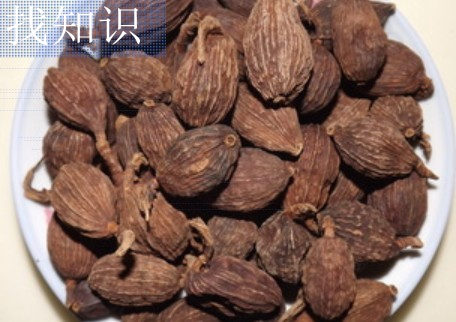 一般用草果做什么菜