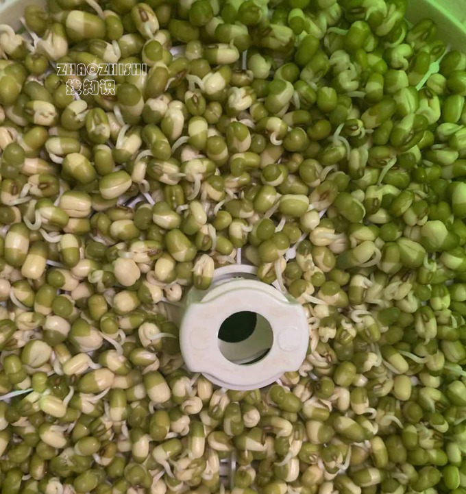 发绿豆芽要用开水泡的问题及换水用温水还是冷水