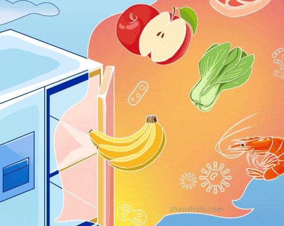 冰箱正确存放食物和预防细菌的措施