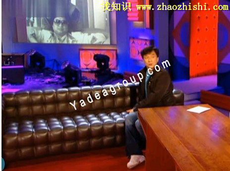 真皮沙发:库布斯沙发（Josef Hoffman Kubus Sofa）