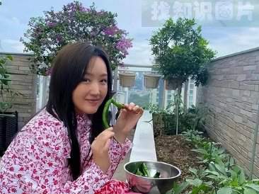 杨钰莹住深圳福田区中海华庭的传闻