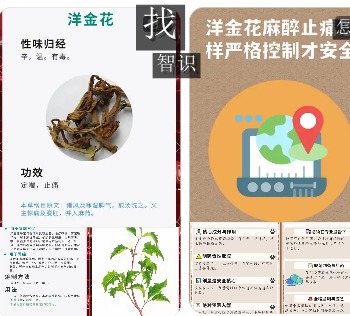复方洋金花麻醉剂如今还在用吗